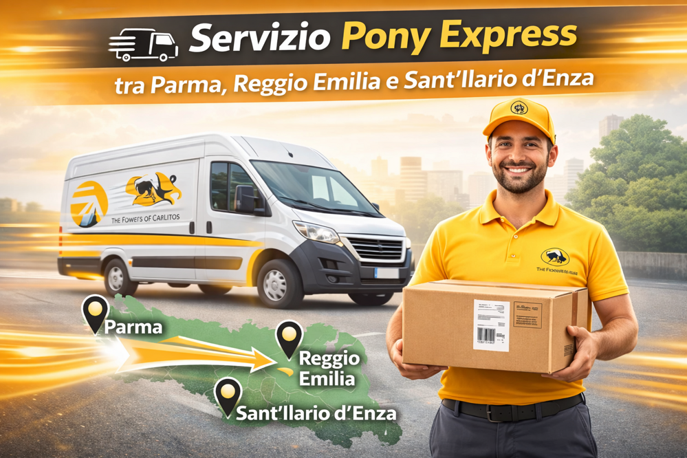 the flowers of carlitos 3