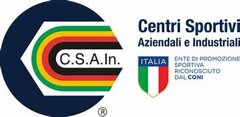 logo csain.jpeg