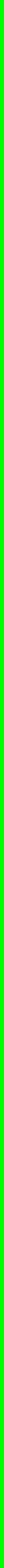 riga verde.jpeg