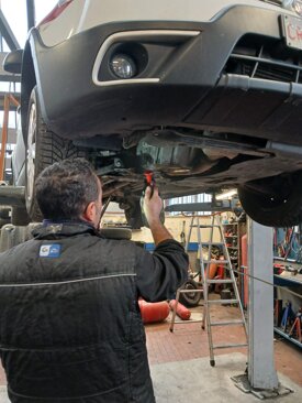 photo-2026-01-20-11-35-47.jpeg photo-2026-01-20-11-35-47.jpeg