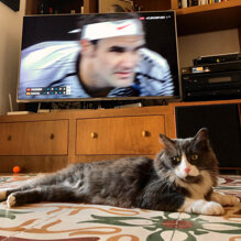 Roger e King Roger Roger e King Roger