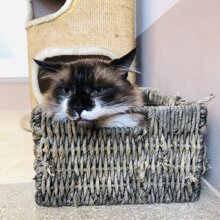 Theo Von Kapper Theo Von Kapper