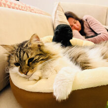 Rafa il suo gorilla e Valentina Rafa il suo gorilla e Valentina