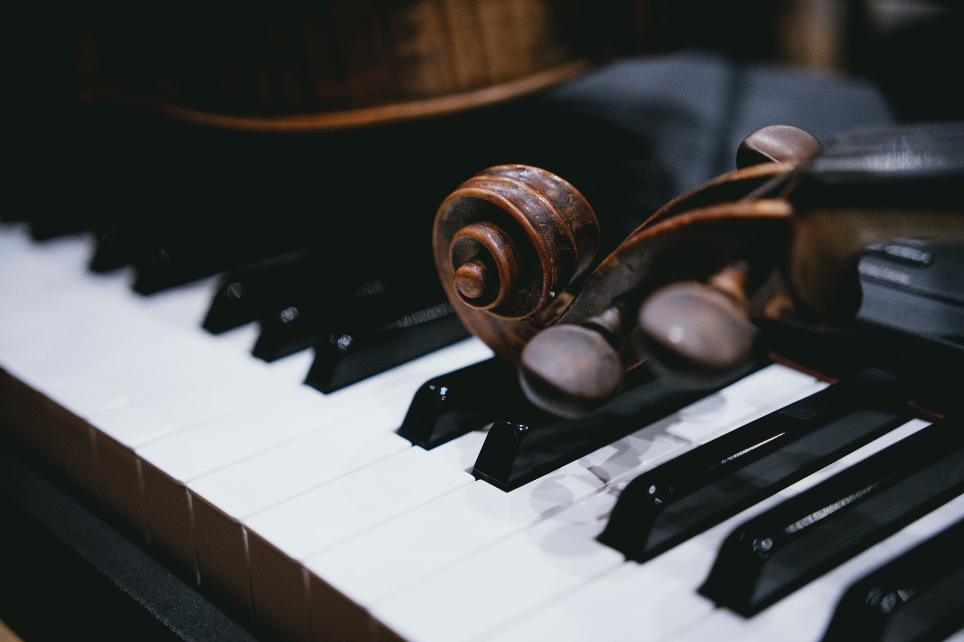 beatbow_00207.jpeg beatbow_00207.jpeg