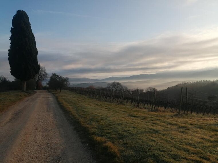 tuscany.jpeg tuscany.jpeg