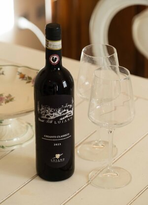 apppaolo_lug_007.jpeg apppaolo_lug_007.jpeg