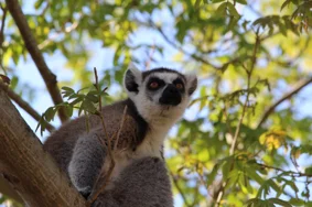 8990_3016c2b00da7ac7ad6c8a54e519914701e795397