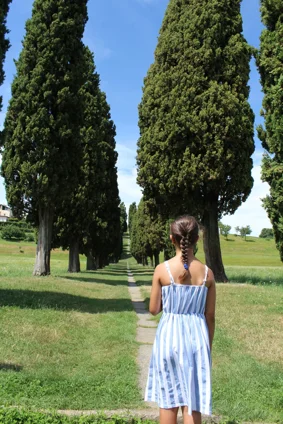 8990_7ba911d84e583dad2616993a9099689b55bfc1e3