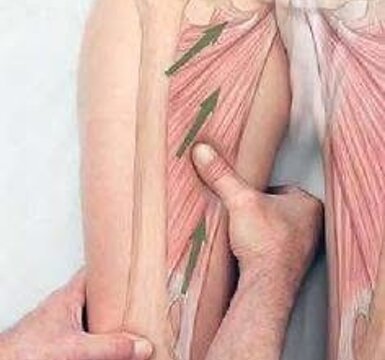 logo giuseppe augello.jpeg