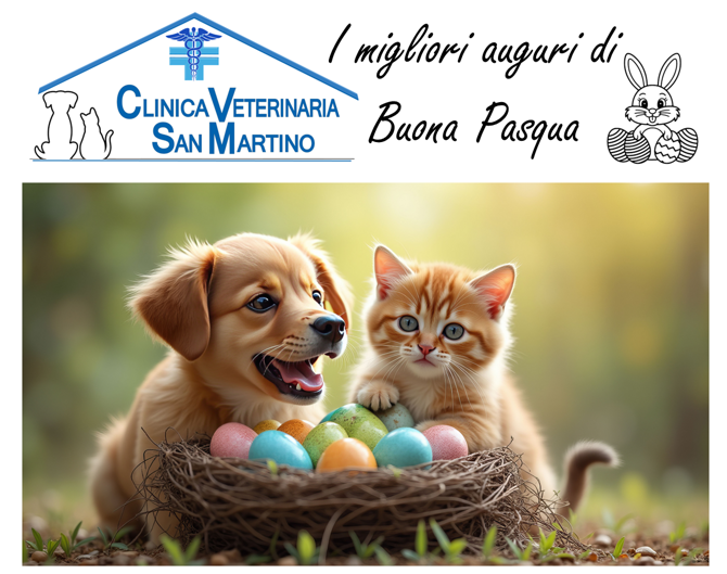 buonapasqua