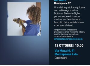 356a723fc3a7b28d17b7e6f2cfb87588