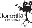 logopacioigrimaldi.jpeg