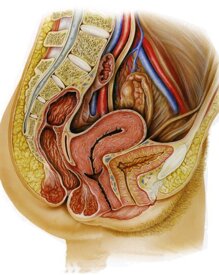 481bc9e700f16a87310522bf20b2473f3ce00575