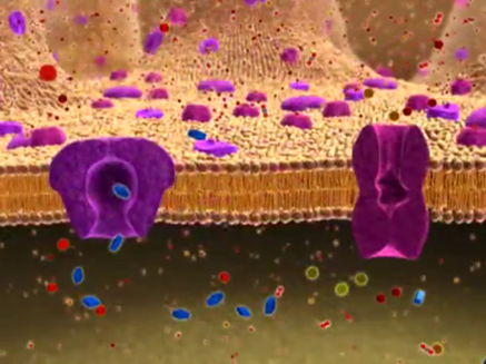 4e25a3c7c416deceb1d7d91af8ce391f7c069ee3 4e25a3c7c416deceb1d7d91af8ce391f7c069ee3