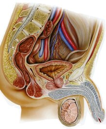 636ce97a4a01933557ac803ecc3577e255cf10ee