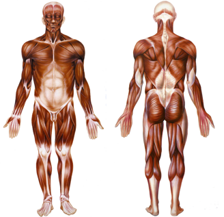 8236962913794ea73b097b29c7a00ea99dd72c7c