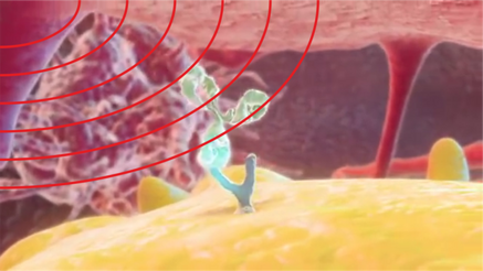 d64bd7f0fde50fbb5fc31f038dfd0923693f54b5 d64bd7f0fde50fbb5fc31f038dfd0923693f54b5