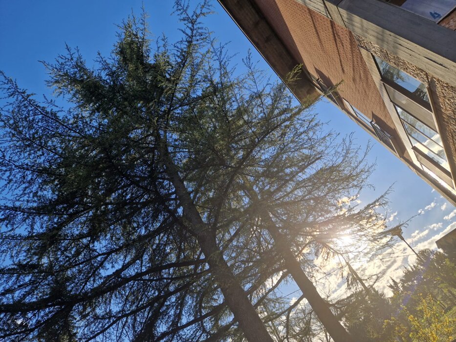 815233ad33ff0641f0ae3c4f584bdbfd99678ebb