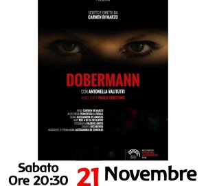 20261205%20supermarket%20fobia.jpeg