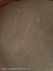 img20250917105742.jpeg