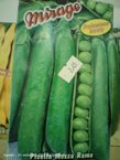 img20250923094609.jpeg