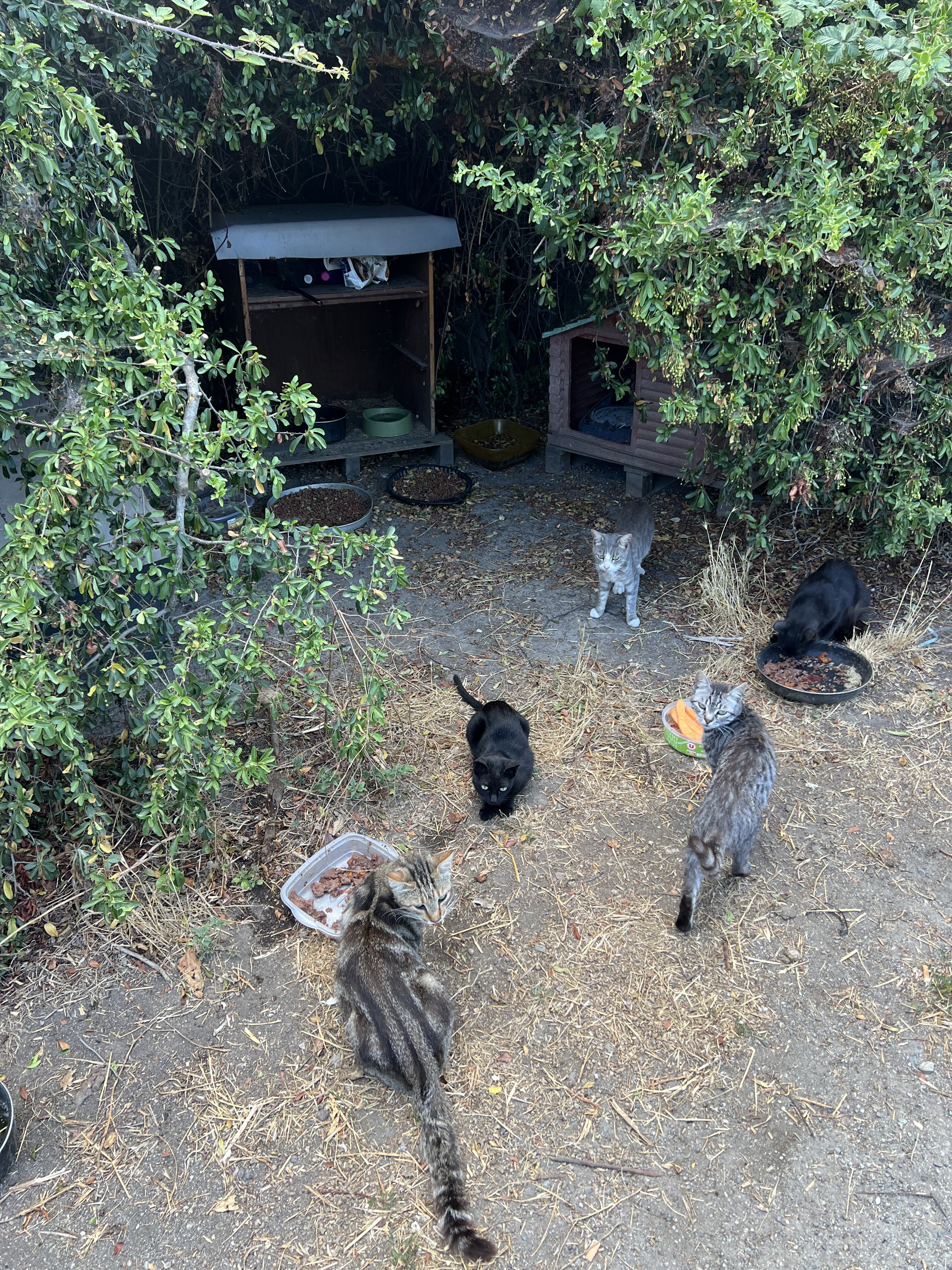 img_2365.jpeg img_2365.jpeg