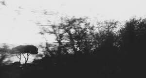 _mg_8806.jpeg