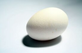 b89877d36e9f611677c22335e85c09ec00183e48