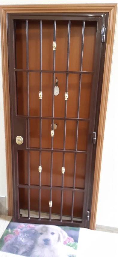 cancello di sicurezza.jpeg