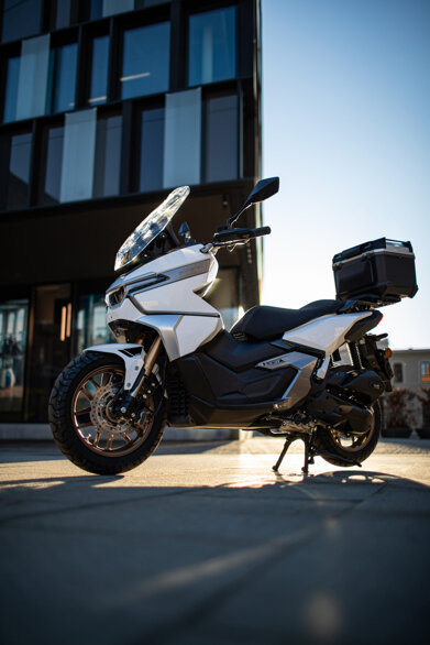 panthette x.jpeg panthette x.jpeg