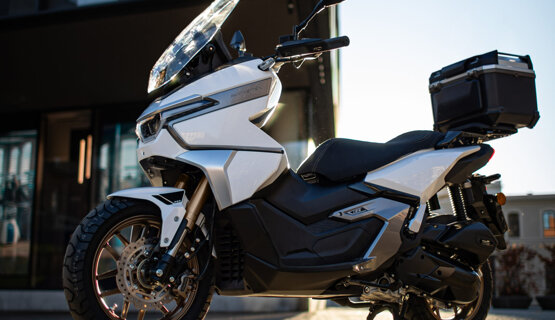 panthette-s_static2-scaled.jpeg panthette-s_static2-scaled.jpeg