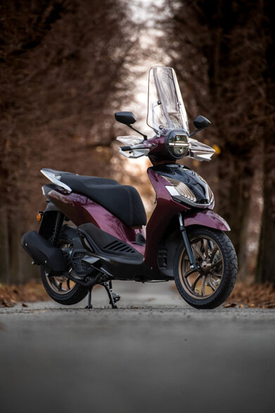 panthette-s_static2-scaled.jpeg panthette-s_static2-scaled.jpeg