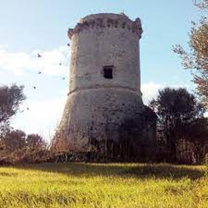 torre.jpeg