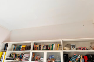 img_8823.jpeg