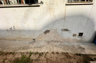 img_8869.jpeg