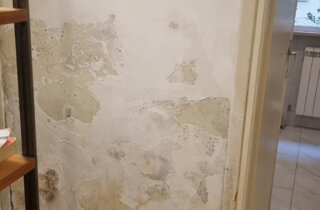 img_8831.jpeg