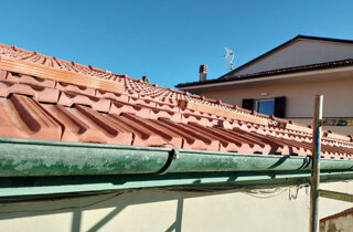 img_8848.jpeg