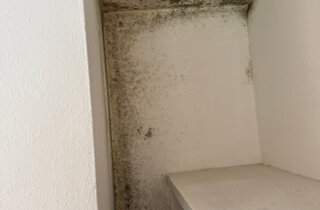 img_8830.jpeg