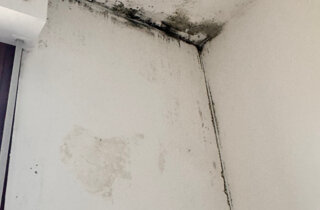 img_8833.jpeg