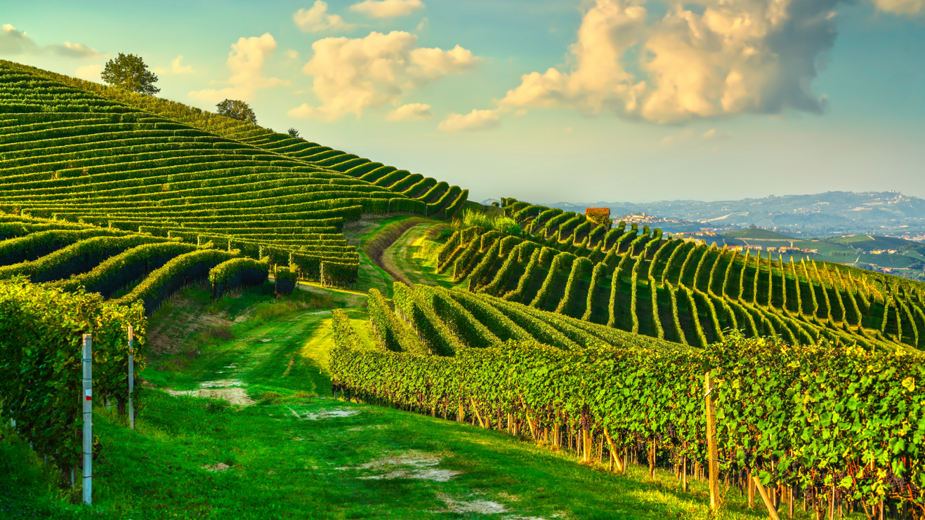 percorsi degustazione 