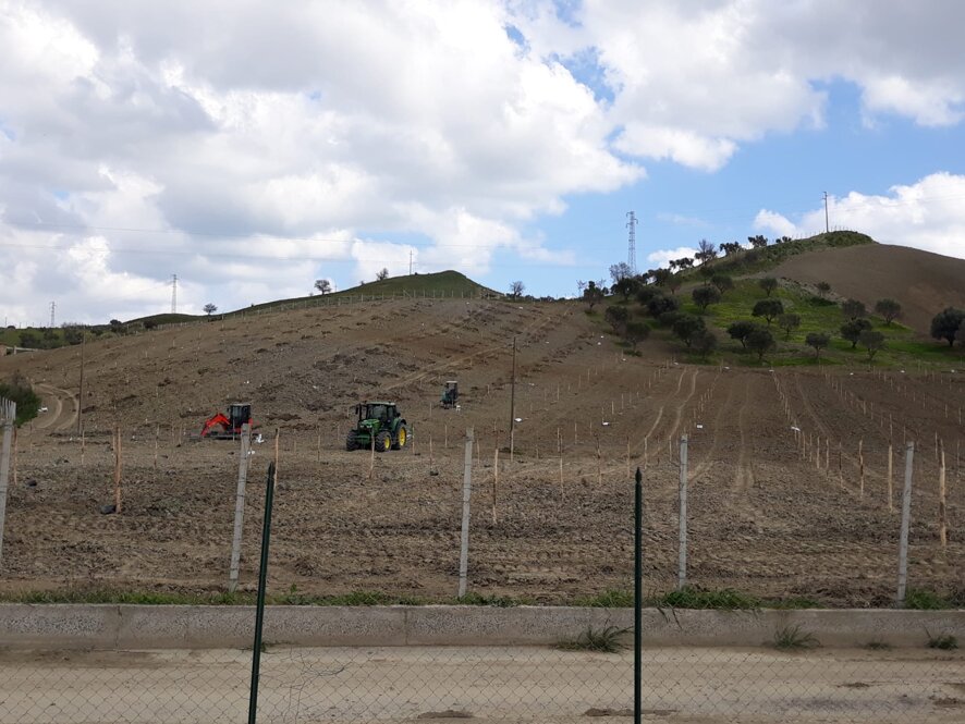 whatsapp image 2020-06-22 at 19.02.35.jpeg whatsapp image 2020-06-22 at 19.02.35.jpeg