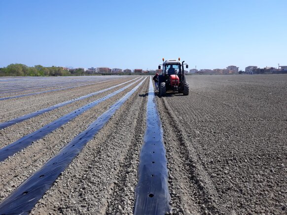 whatsapp image 2020-06-22 at 19.07.57 (1).jpeg