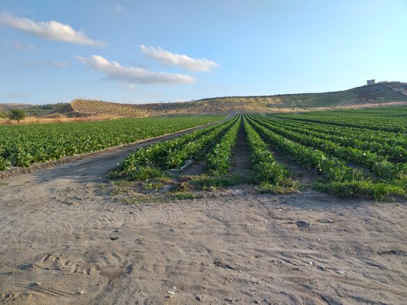 whatsapp image 2020-06-22 at 19.10.36 (2).jpeg