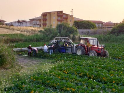 whatsapp image 2020-06-22 at 19.04.33 (1).jpeg