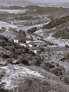 whatsapp image 2020-06-22 at 19.11.36 - copia.jpeg