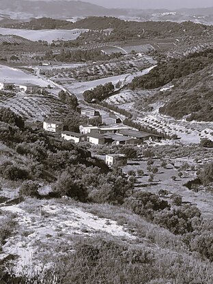 whatsapp image 2020-06-22 at 19.11.36 - copia.jpeg whatsapp image 2020-06-22 at 19.11.36 - copia.jpeg