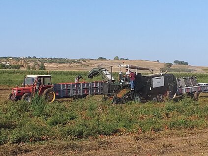 whatsapp image 2020-06-22 at 19.13.59 (1).jpeg