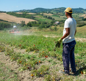 ba46b49048a6f3bf8f3afa63bb5971027d2ec5c0