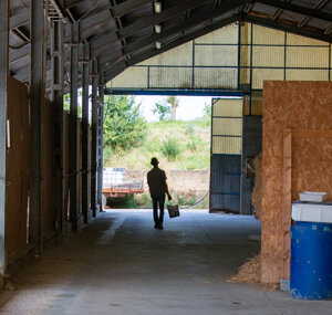 270dfd03e072597faee73aaf15f1ba640f2d32c6