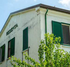 cab8d1e6d3c9c884eccfa3e5ffcd4639790f66f8